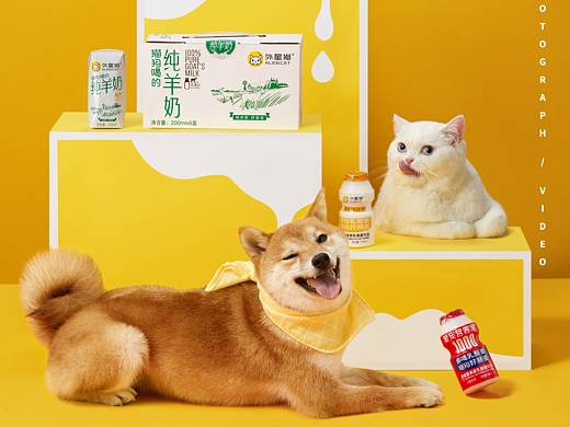 外星猫✖INLIGHT l 宠物 饮品  