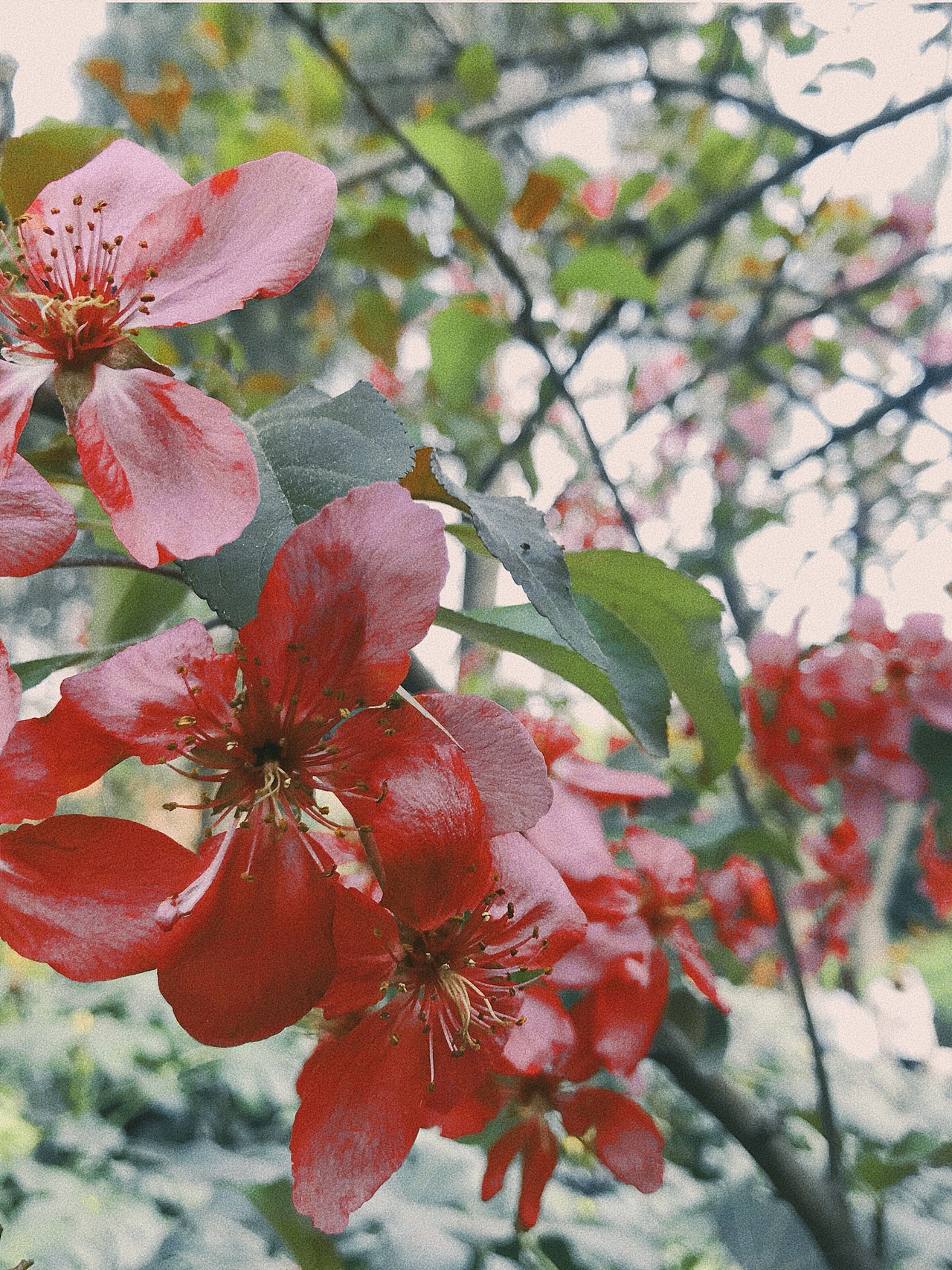 碧沙岗公园（图ZMjQ4OTQyMzAw） - 人文/纪实摄影 - 站酷设计师白日梦想家阿旭原创素材 - 站酷ZCOOL