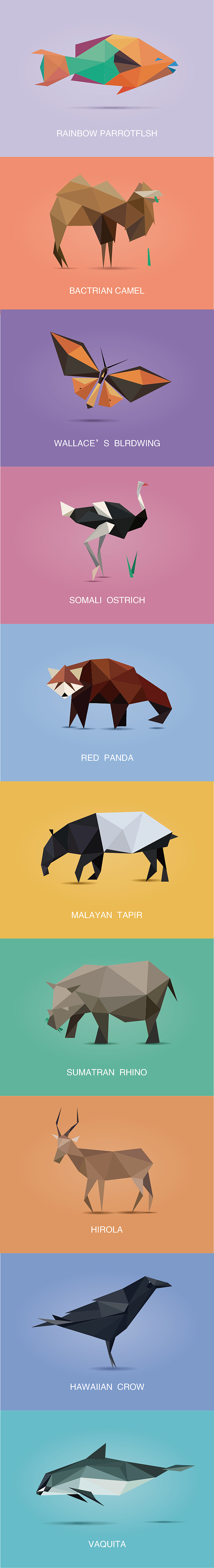 动物-2（图ZMjc3OTI0Njg=） - 图案 - 站酷设计师赵东青原创素材 - 站酷ZCOOL