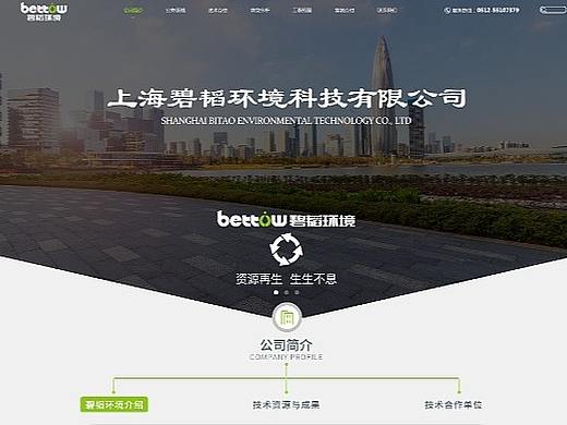 官网主页