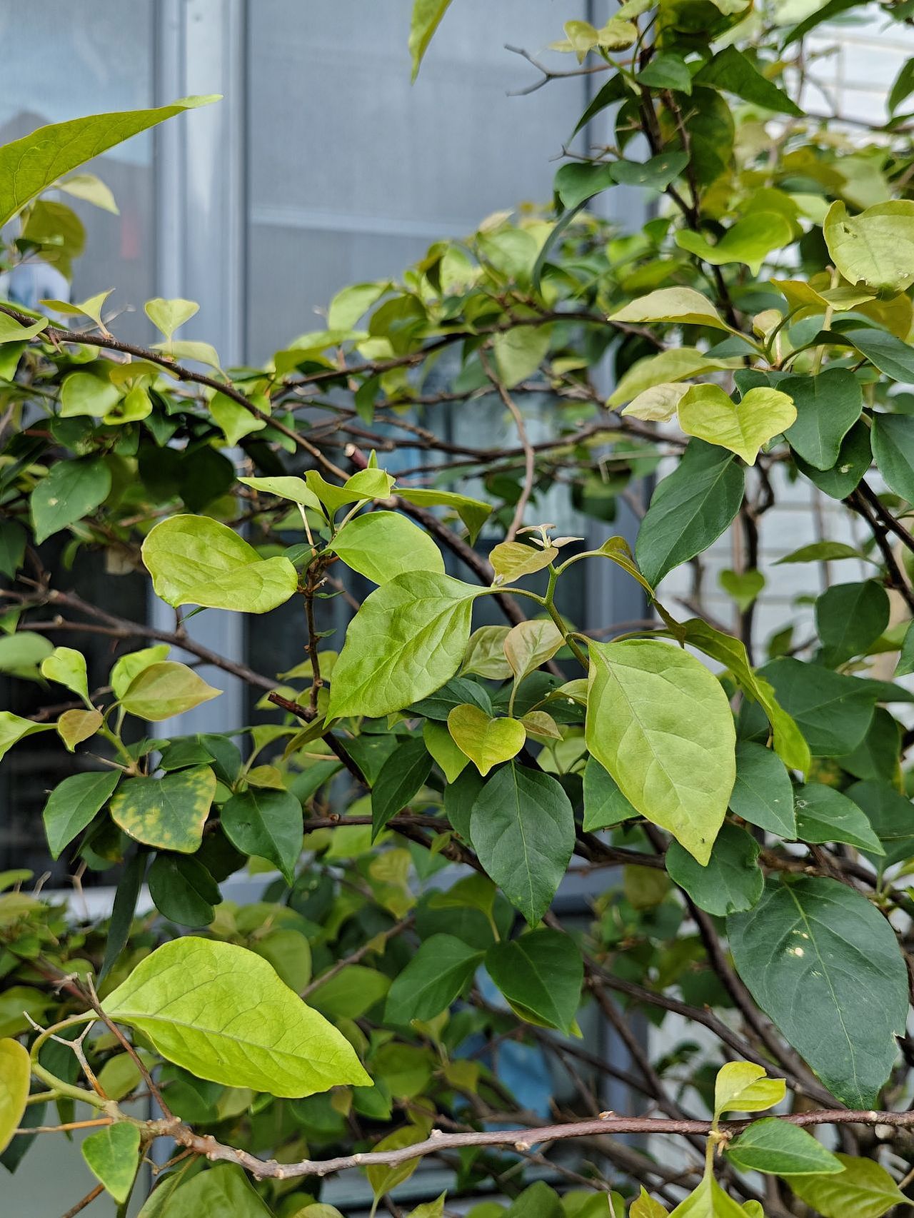 暴雨过后（图ZMzY4MDUzNTI4） - 风光摄影 - 站酷设计师圆真王子原创素材 - 站酷ZCOOL