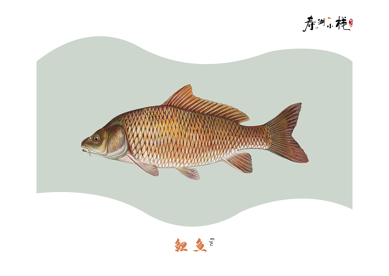 《鱼》（图ZMTYwNDE4ODYw） - 书籍/画册 - 站酷设计师ANEAL原创素材 - 站酷ZCOOL