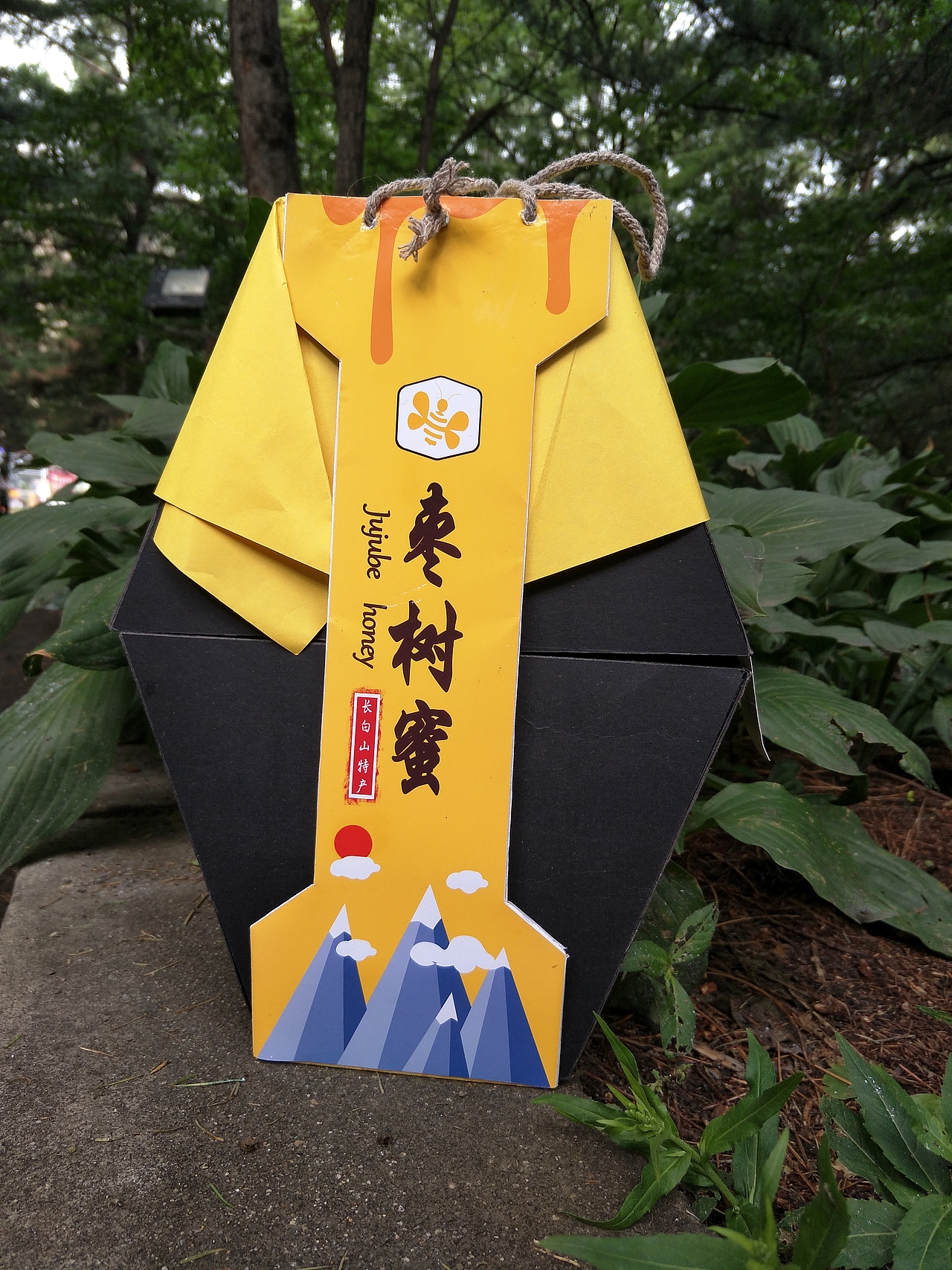 包装设计——枣树蜜