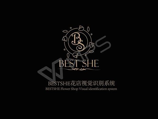 vi视觉识别系统