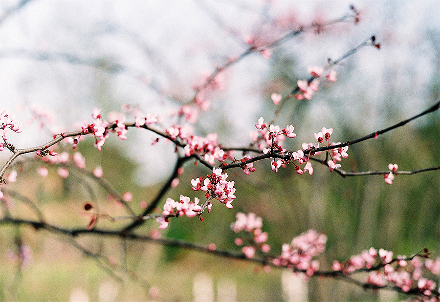 只为记录，不为胜利（图ZMjQ1NTE1ODg=） - 人文/纪实摄影 - 站酷设计师觉纪原创素材 - 站酷ZCOOL