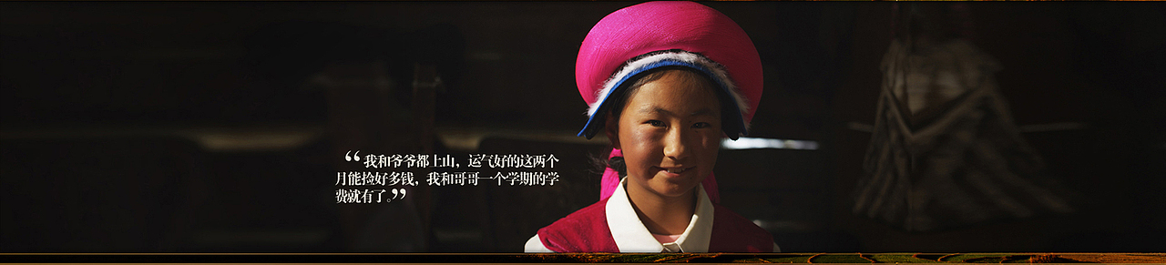 健膳乐食2015版松茸设计（图ZMzIxNTMxNDg=） - 电商 - 站酷设计师掌生鼓力文化传播原创素材 - 站酷ZCOOL