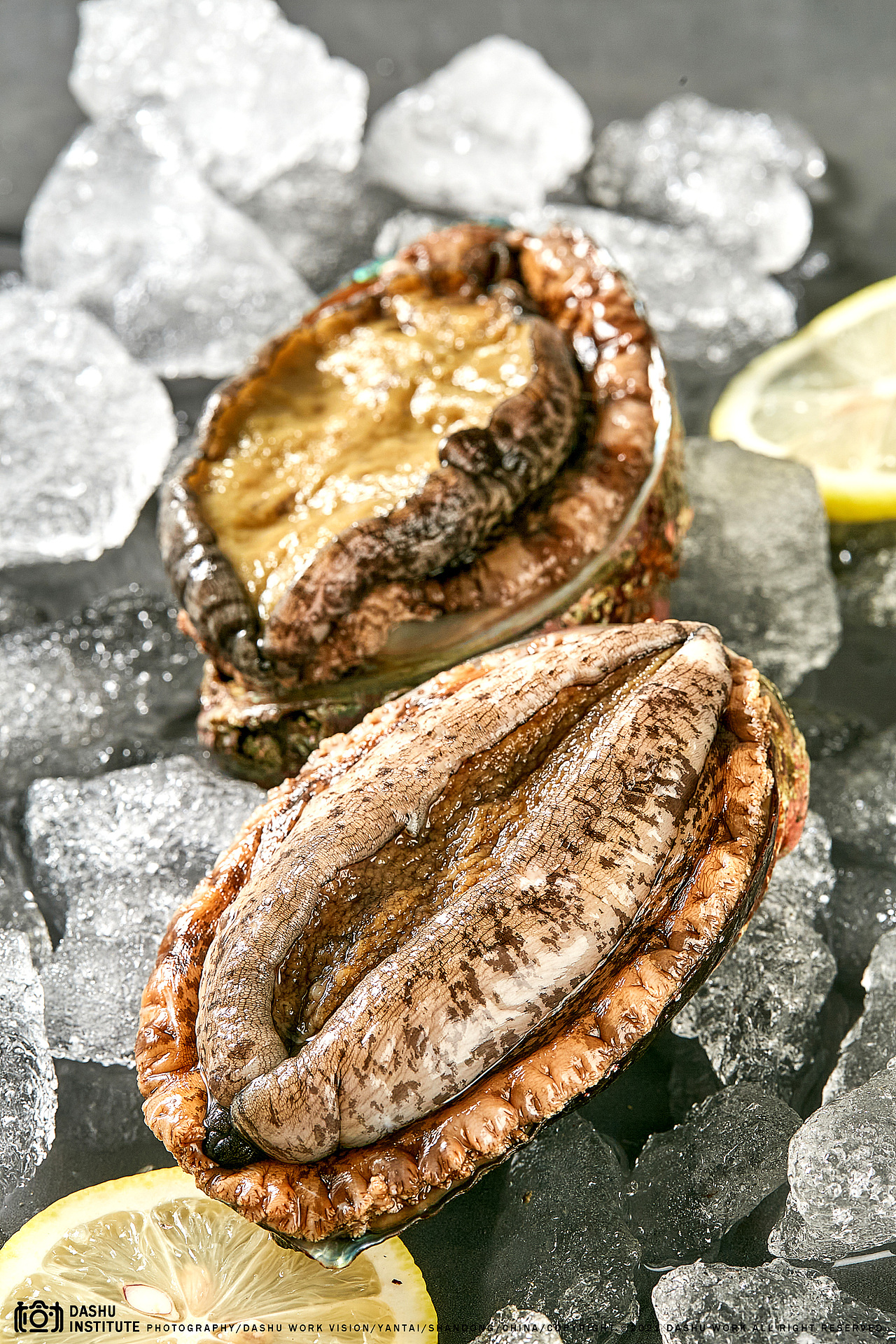 野生鲍鱼（图ZMjc4MTg5Mjky） - 美食摄影 - 站酷设计师摄影小林原创素材 - 站酷ZCOOL