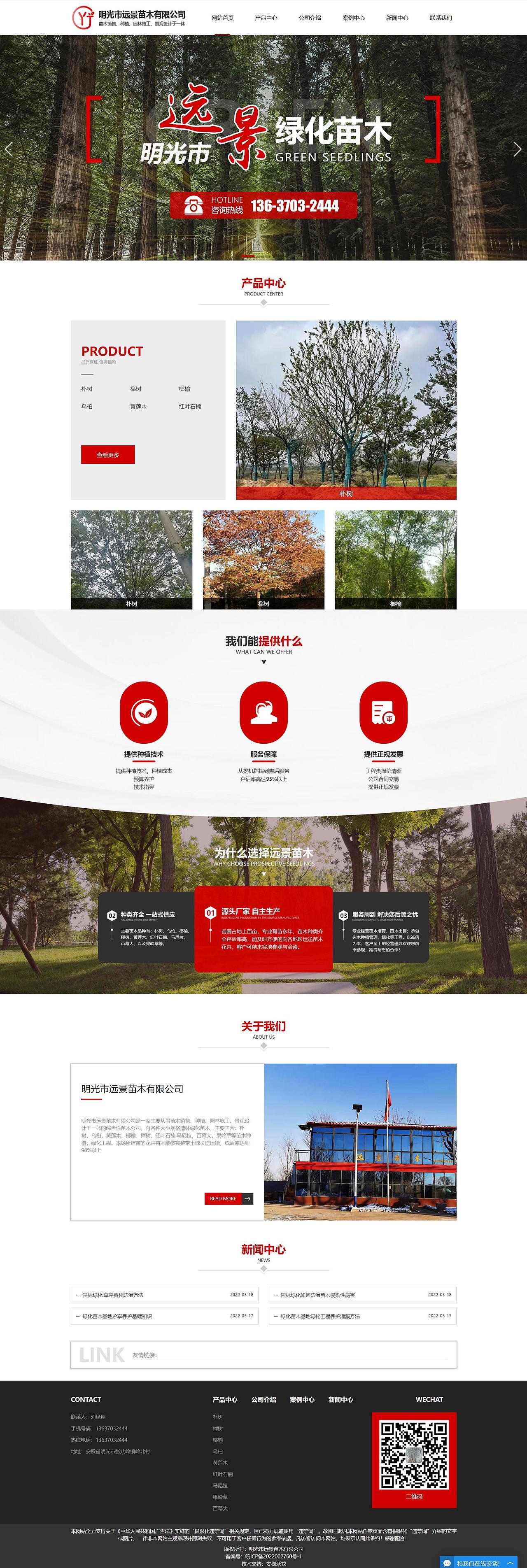 苗木 绿植 树苗