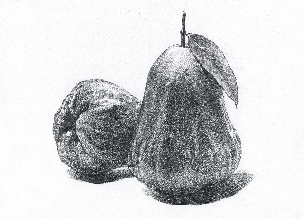 莲雾绘画香蕉步骤