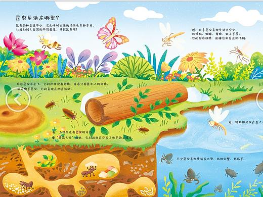 昆虫科普绘本
