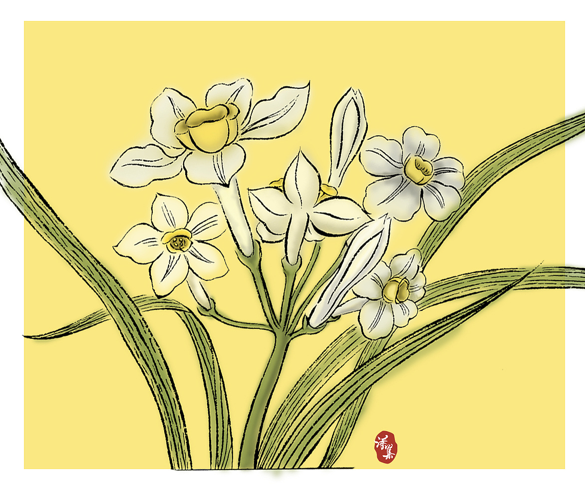 水仙-手绘转设计