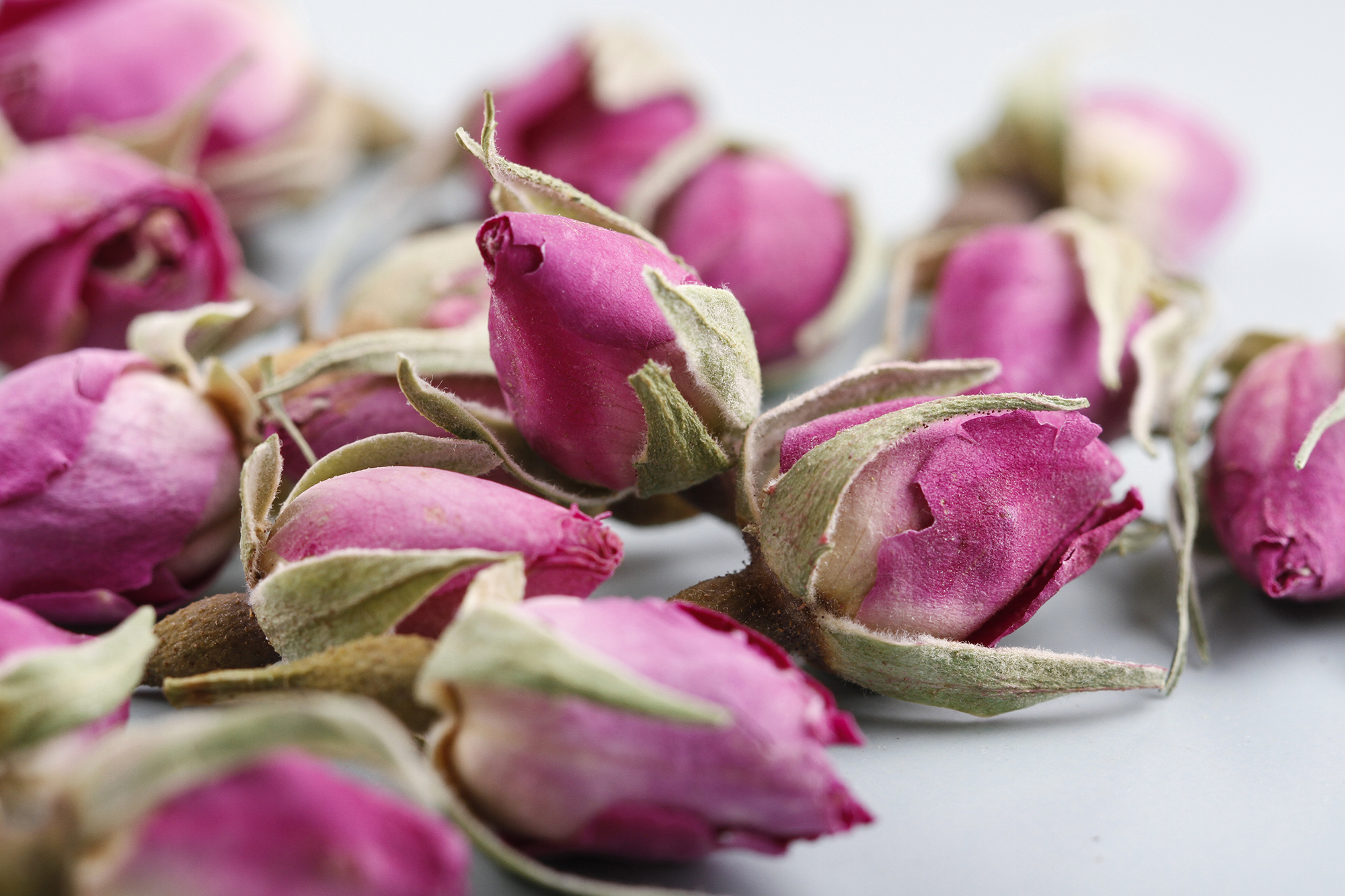 法兰西玫瑰拍摄(花草茶系列)