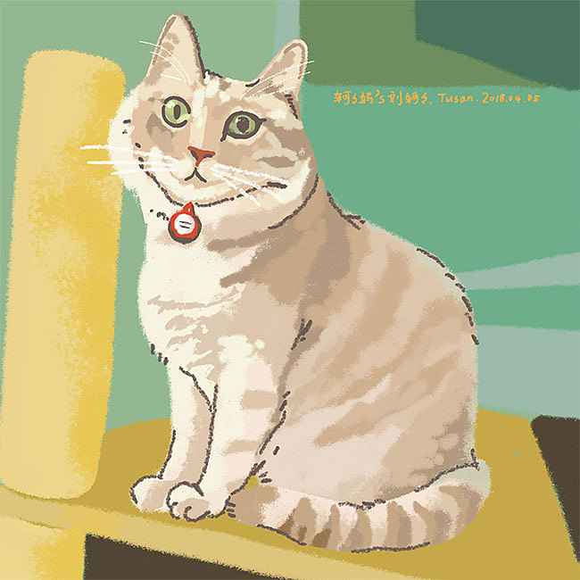 又画了10只猫（图ZMTg2NDE3ODA4） - 艺术插画 - 站酷设计师Tusan了了原创素材 - 站酷ZCOOL