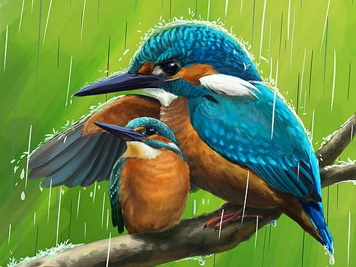 翠鳥(niǎo)（個(gè)人主頁(yè)-ZNDc1ODczMTY=） - 商業(yè)插畫(huà) - 站酷設(shè)計(jì)師black巡洋艦原創(chuàng)素材 - 站酷ZCOOL