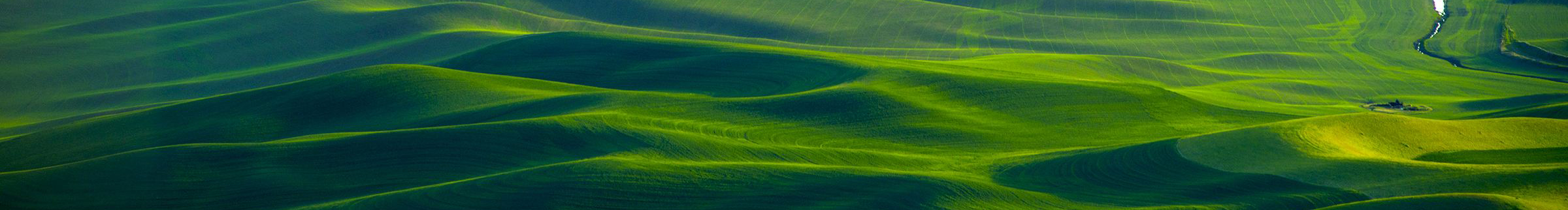 沉默的卡卡的个人主页（封面预览） - 主页封面设置 - 站酷设计师沉默的卡卡原创素材 - 站酷ZCOOL
