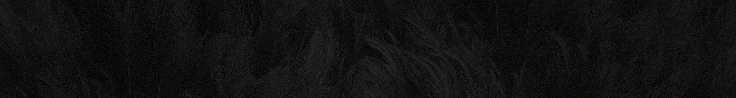 LandryChien的个人主页（封面预览） - 主页封面设置 - 站酷设计师LandryChien原创素材 - 站酷ZCOOL