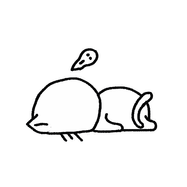 动态表情包/刘海喵