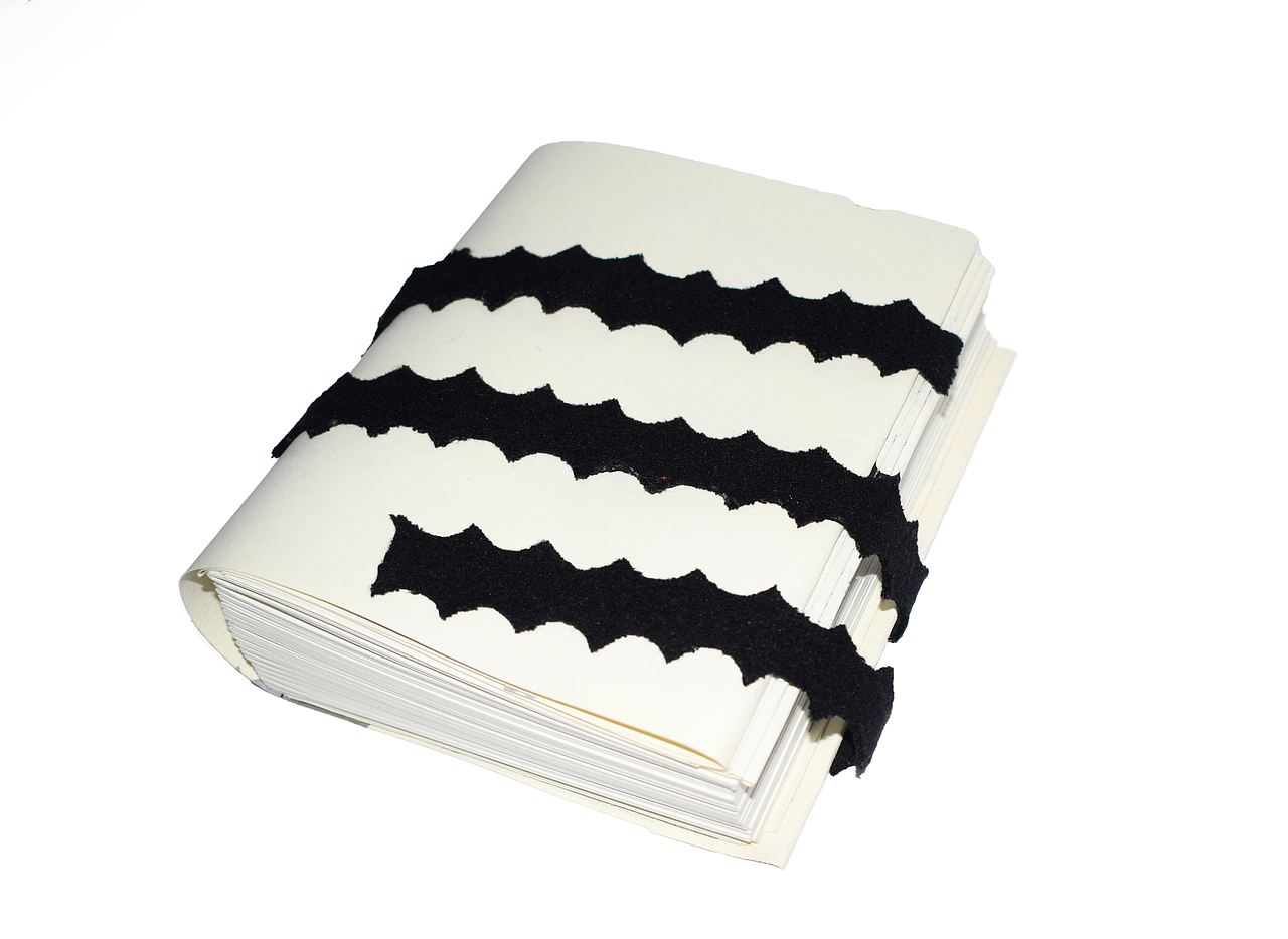 恶之花——黑棘（图ZMTAyOTk4MjYw） - 书籍/画册 - 站酷设计师飘公原创素材 - 站酷ZCOOL