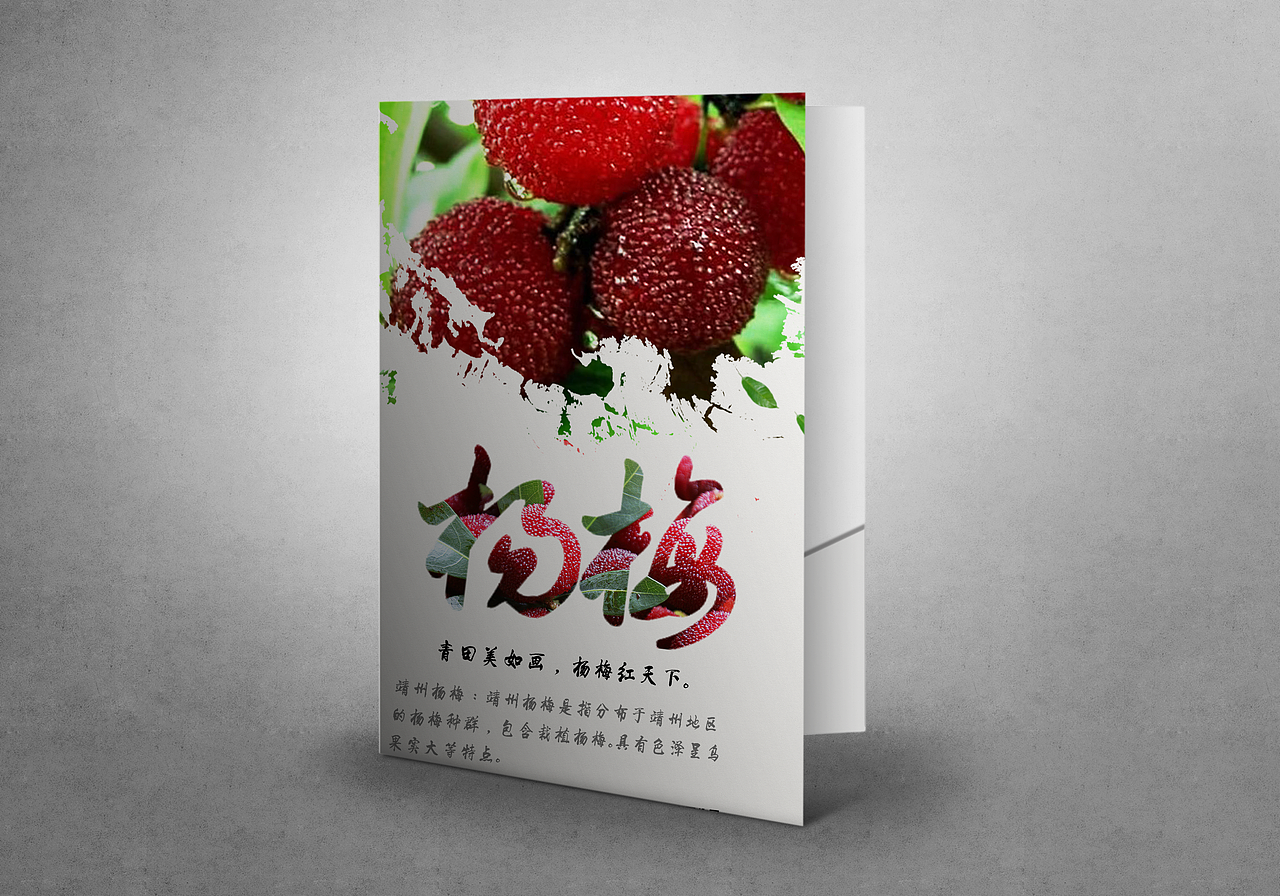 杨梅（图ZODc1MDg5ODA=） - 海报 - 站酷设计师RYLworkset原创素材 - 站酷ZCOOL
