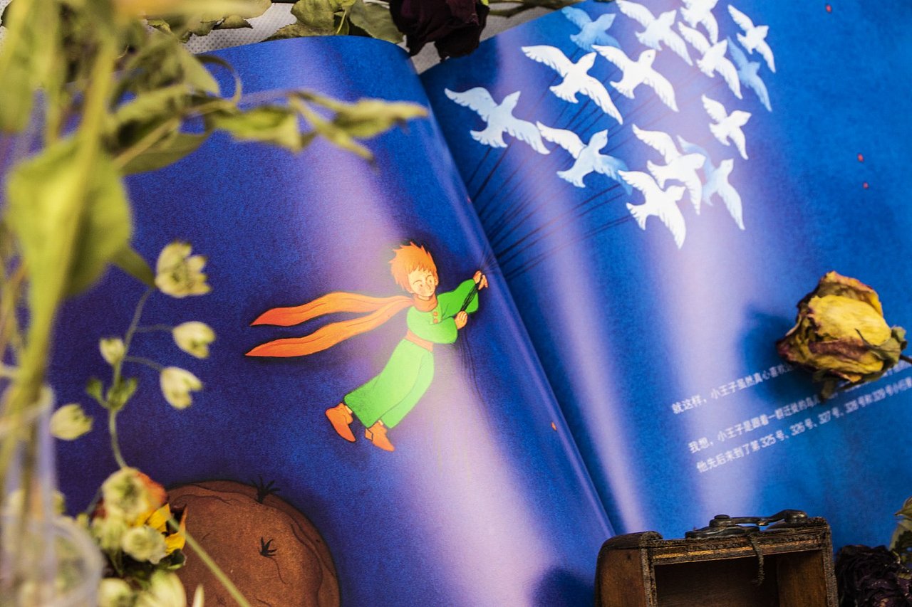 《小王子纯美珍藏绘本》手绘版