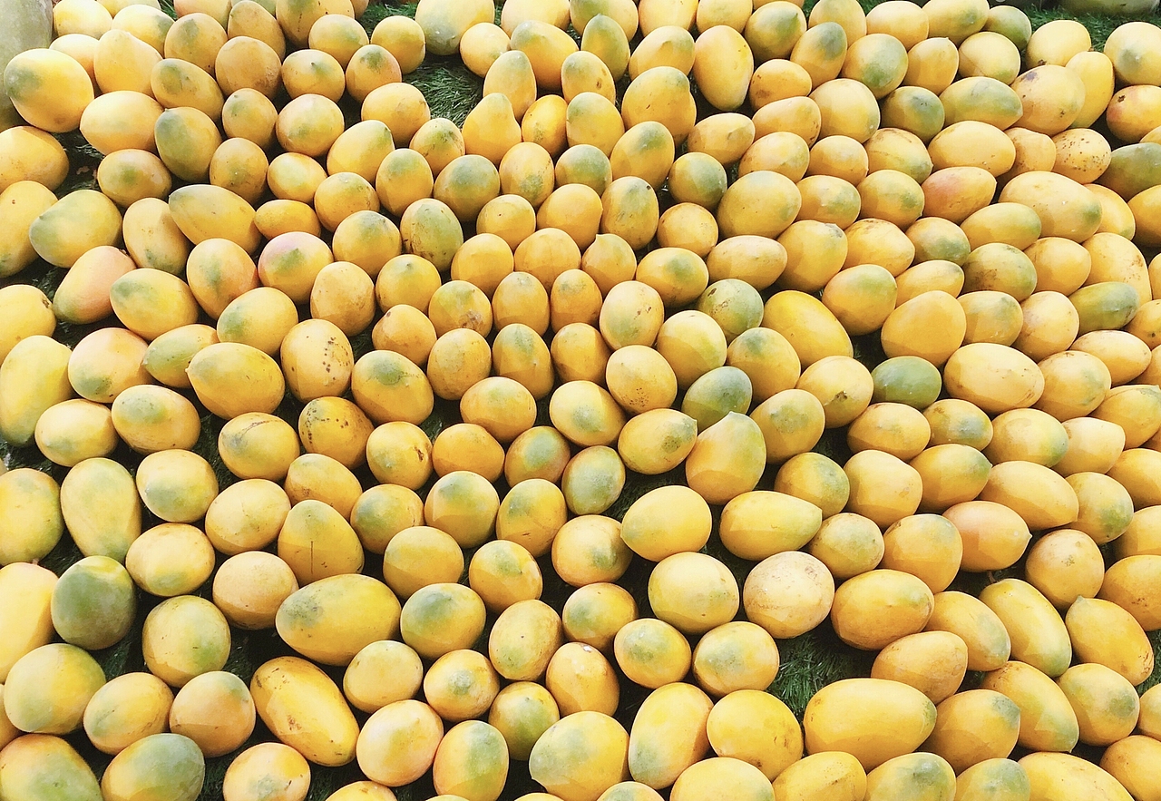 小城生活-恩施YELLOW