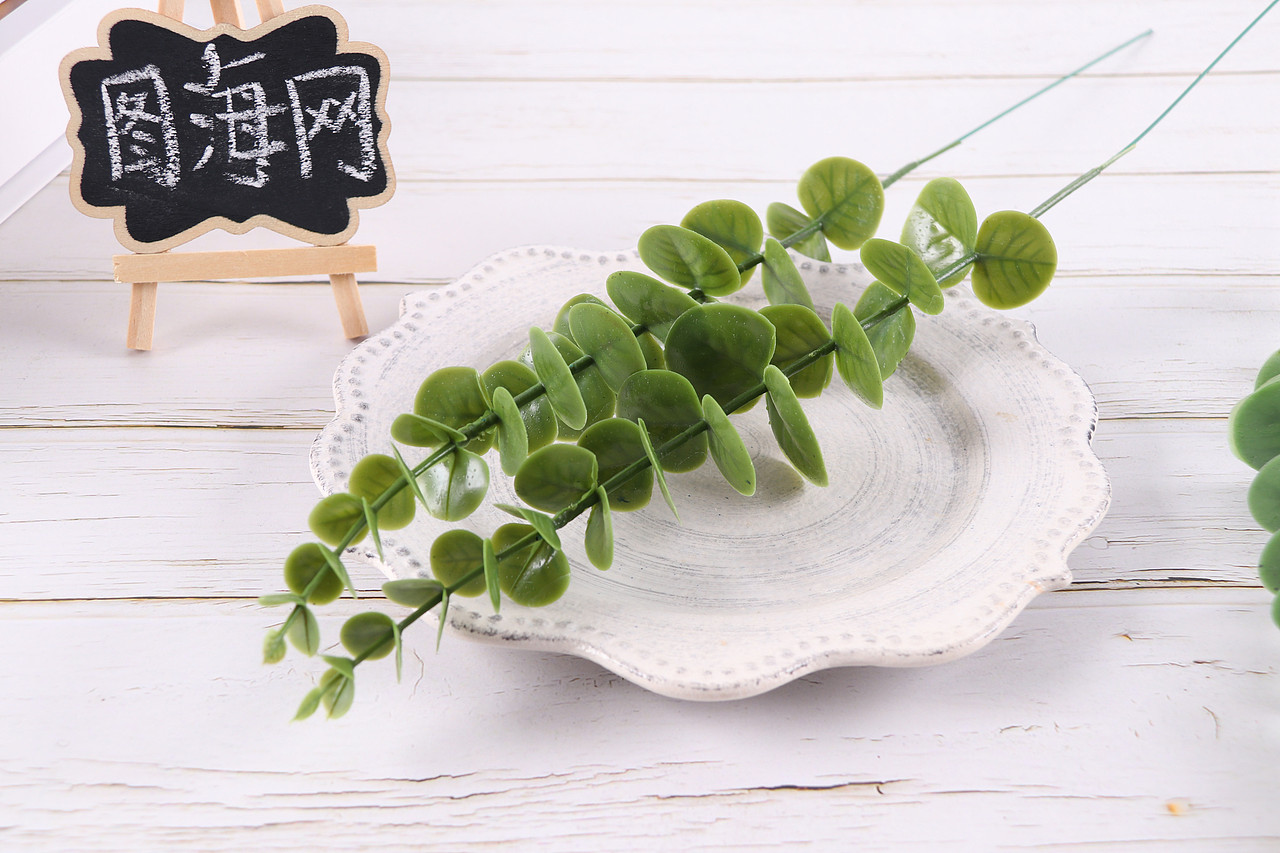 B03家居饰品\C11-仿真饰品\V06仿真尤加利叶X1