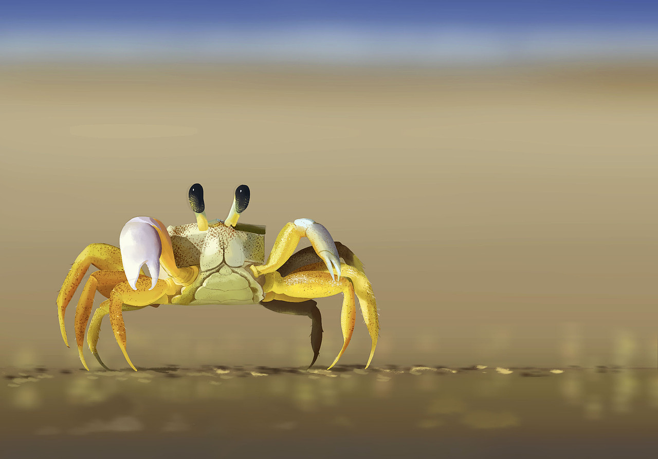 色彩练习60天挑战作品总结（图ZMjk1NzIzMjY4） - 创作习作 - 站酷设计师小太阳Joyce原创素材 - 站酷ZCOOL