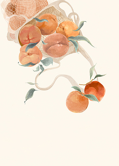 秋实|插画|商业插画|dedelephant - 原创作品 - 站酷 (zcool)