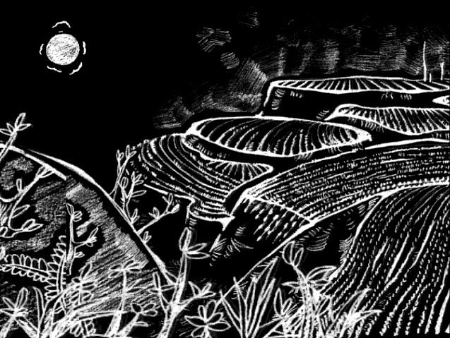 实验动画 天牛---这样一个动画也曾经是我的梦的一部分（图ZMTI1MjY2ODg=） - 动画片 - 站酷设计师承平日久原创素材 - 站酷ZCOOL