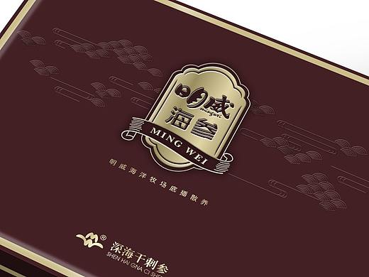 海参包装 礼盒