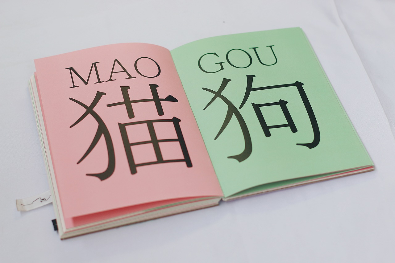 《许猫孙狗》书籍设计（图ZODIwMTU5ODQ=） - 书籍/画册 - 站酷设计师马上吃包子原创素材 - 站酷ZCOOL