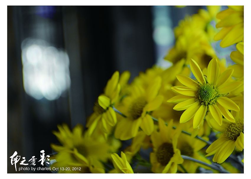 彩云之南（明信片整理）（图ZODEwMjc0OA==） - 其他摄影 - 站酷设计师KevinHahn原创素材 - 站酷ZCOOL