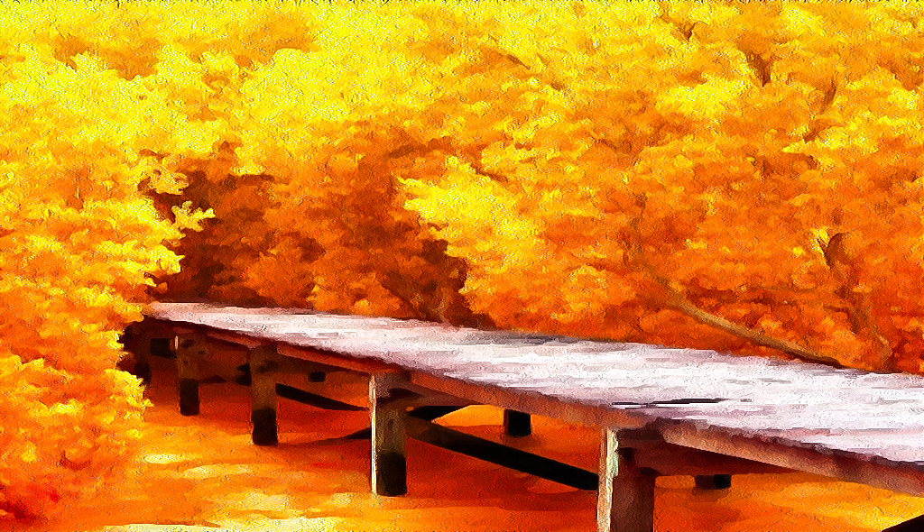 来一波照片转手绘