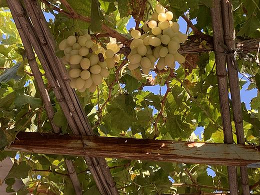 一些所见（个人主页-ZNjg4NTU1NzI=） - 环境/建筑摄影 - 站酷设计师毛猫猫雨原创素材 - 站酷ZCOOL