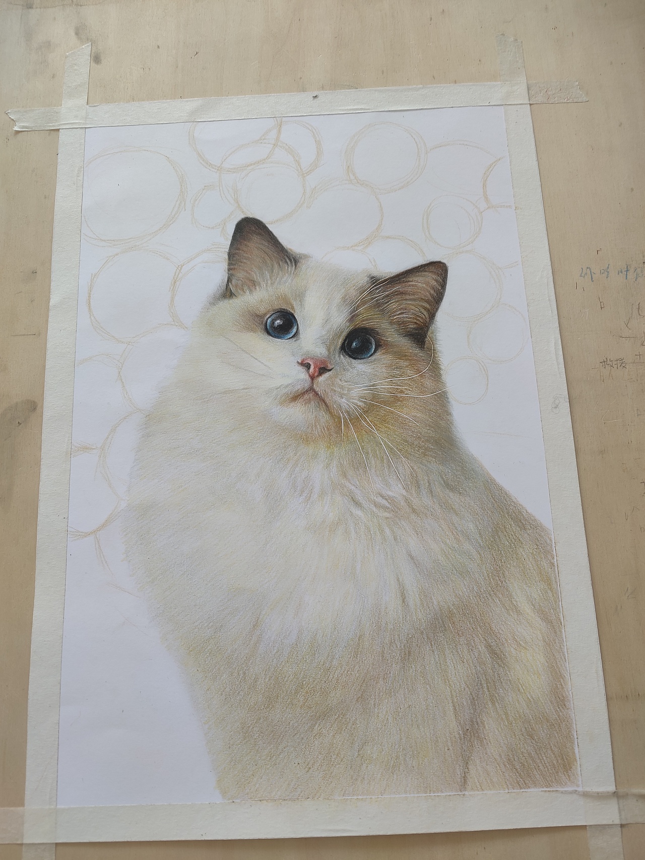 彩铅画布偶猫全身图片