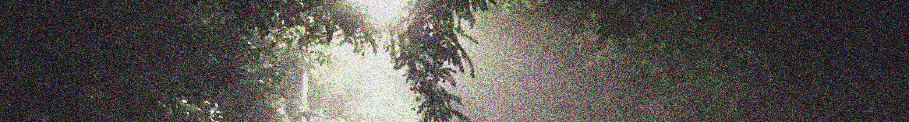 阿鹤会发光的个人主页（封面预览） - 主页封面设置 - 站酷设计师阿鹤会发光原创素材 - 站酷ZCOOL