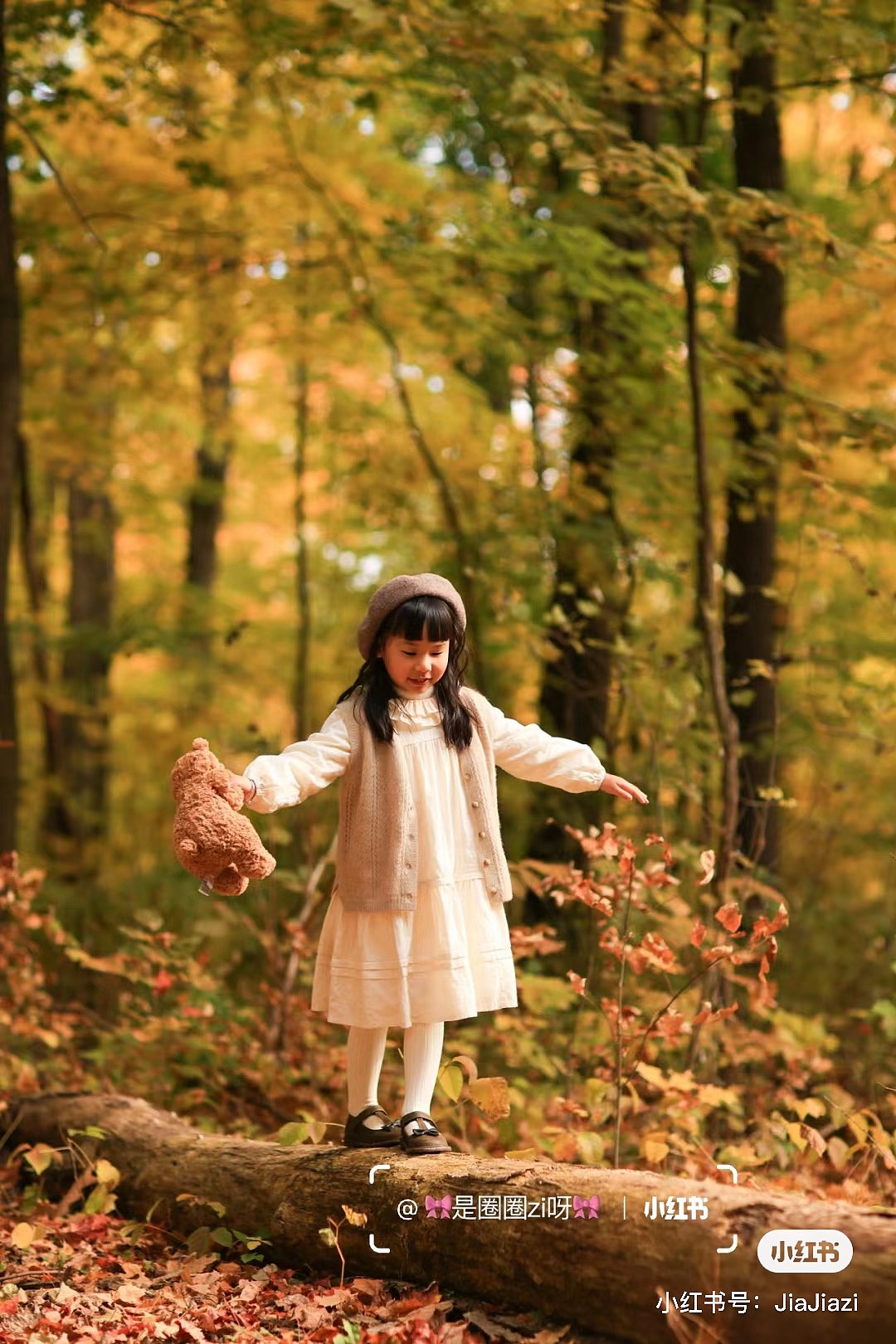 森林小场景插画