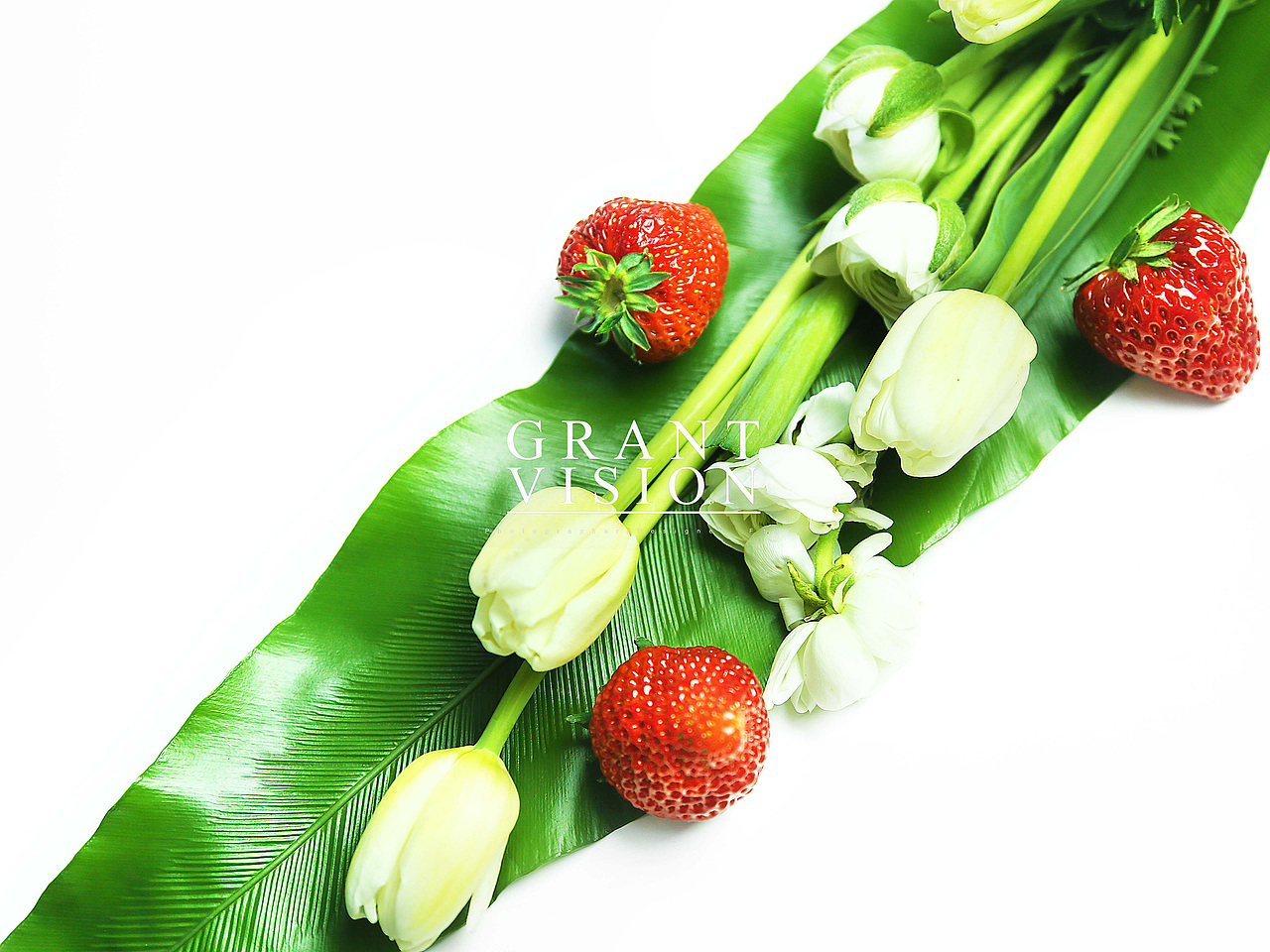 食鮮（圖ZNDM2NDM4NTI=） - 產(chǎn)品攝影 - 站酷設(shè)計(jì)師偉大的攝影師原創(chuàng)素材 - 站酷ZCOOL