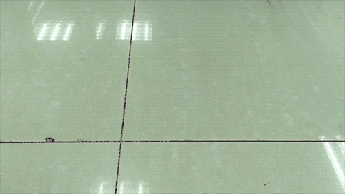 实拍与动画结合的小demo