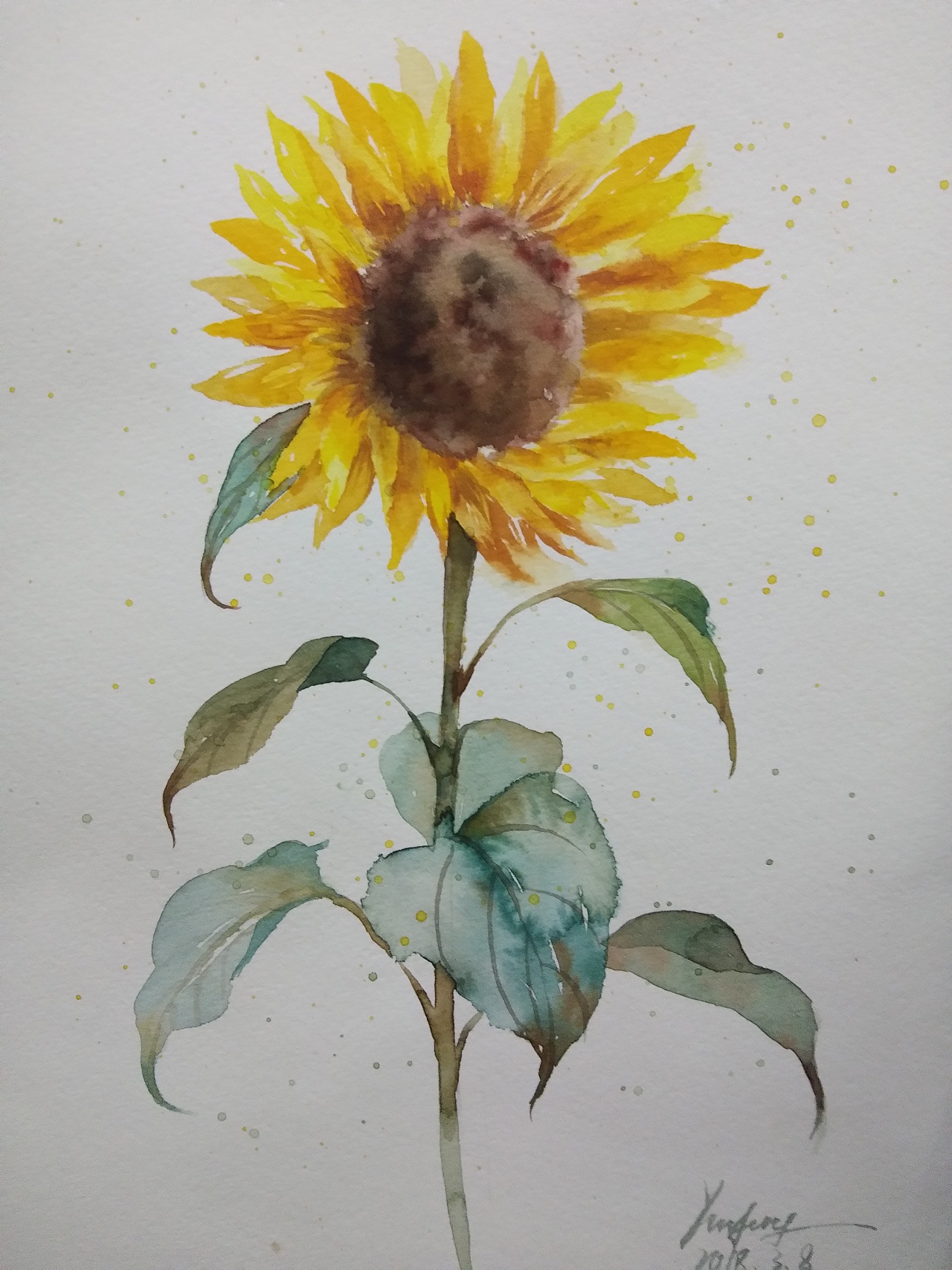 彩铅 手绘 向日葵 - 堆糖，美图壁纸兴趣社区