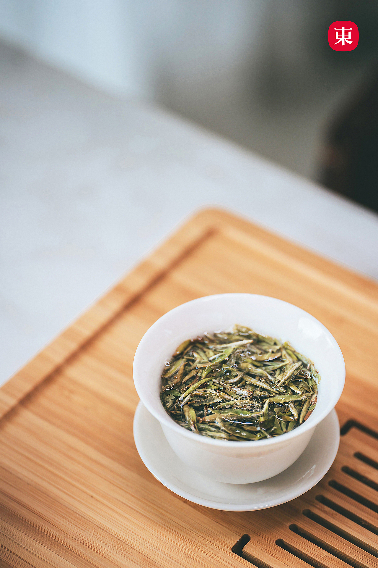 东集tonji传成白茶状元银针白毫银针福鼎白茶拍摄