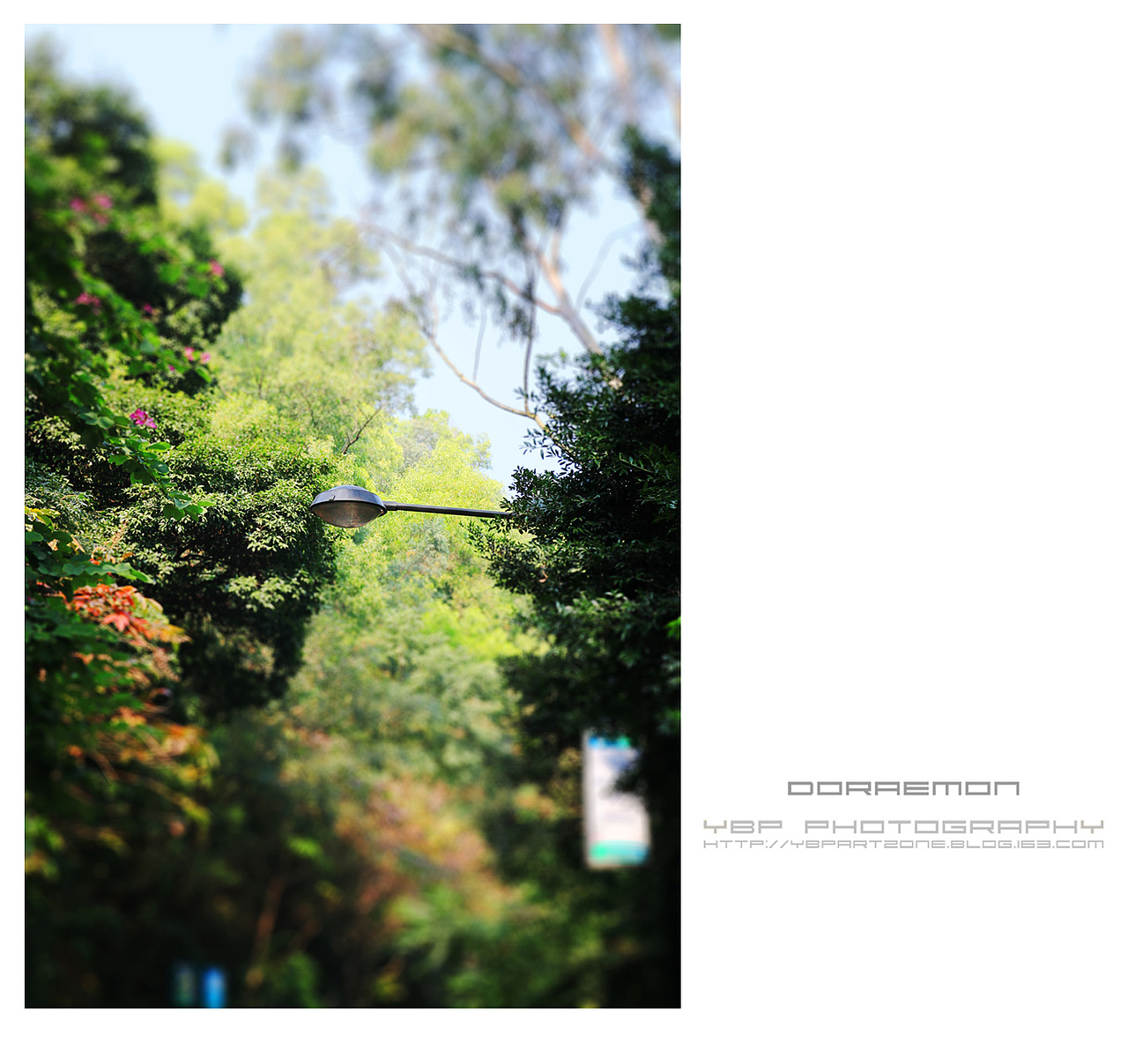 【YBP】白云小小の世界