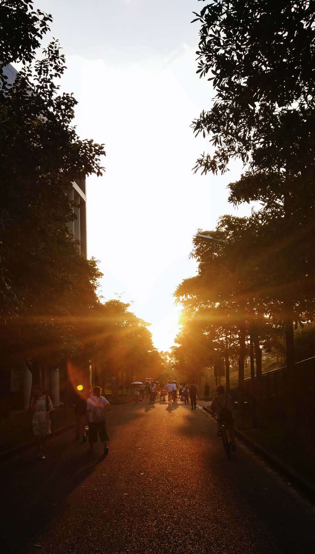 摄影 & 手机摄影 & 个人作品