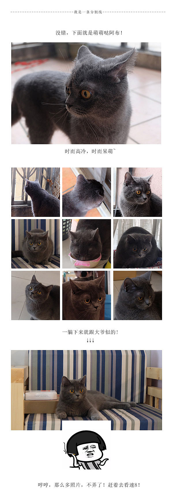 二货猫的日常（图ZODQ0NTU1ODQ=） - 其他平面 - 站酷设计师Erica陳拾壹原创素材 - 站酷ZCOOL