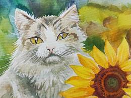 水彩猫猫