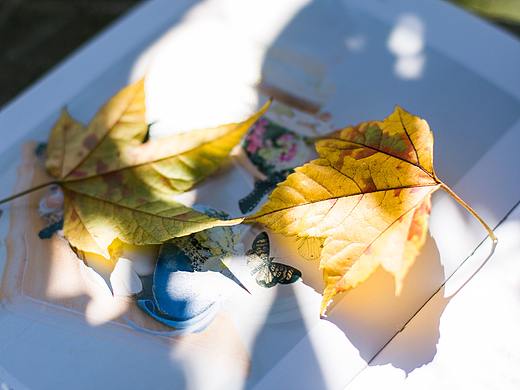 周六 晴（个人主页-ZMzExODIxMjA=） - 产品摄影 - 站酷设计师十月Me原创素材 - 站酷ZCOOL