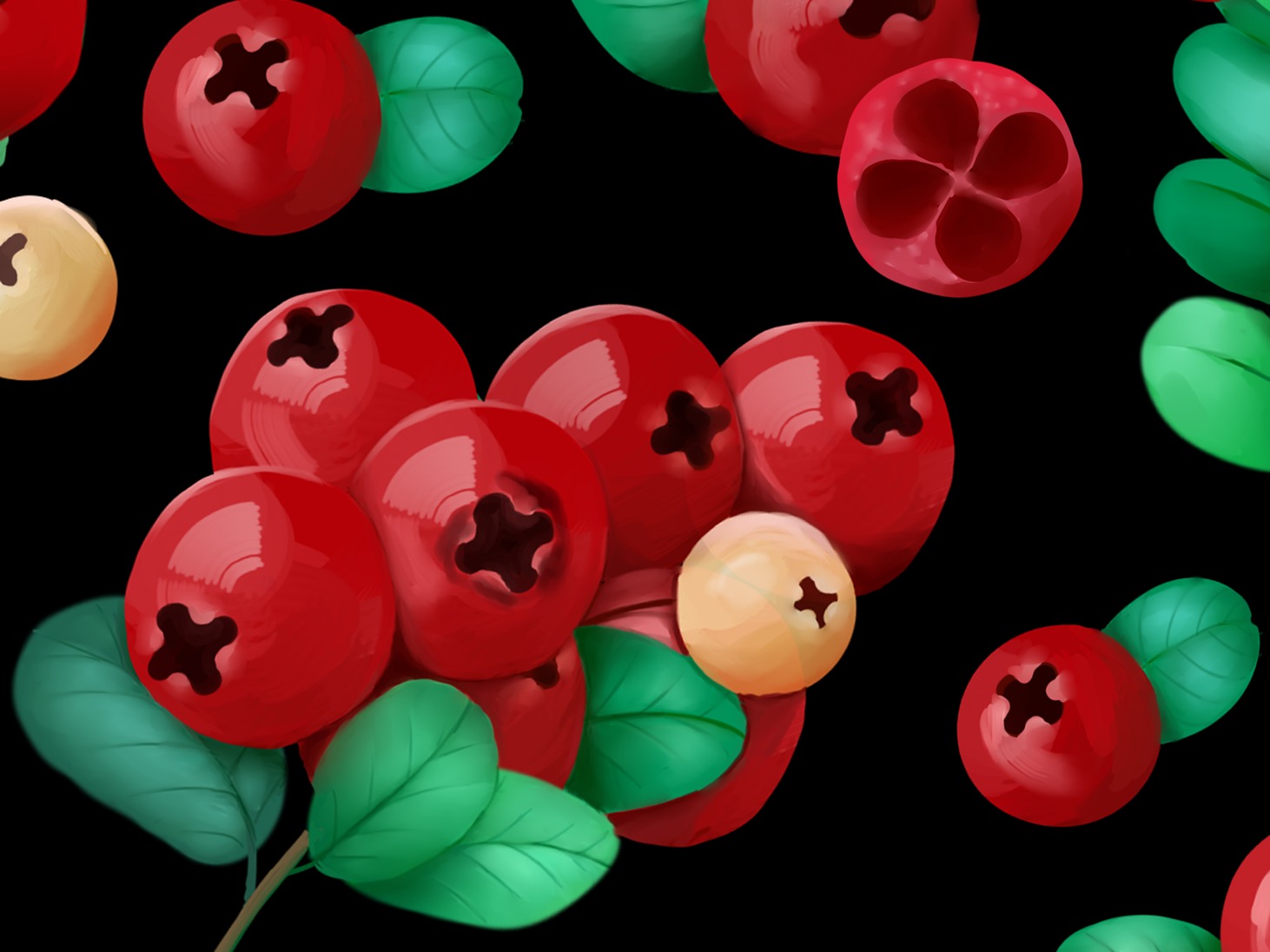 金秋，蔓越莓熟了！
