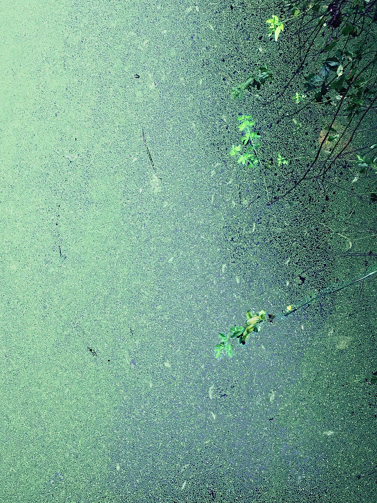 公园小景（图ZNjE1NTY1NzY=） - 人文/纪实摄影 - 站酷设计师蛋蛋的云云原创素材 - 站酷ZCOOL