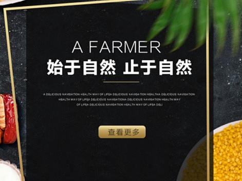 案例展示：坚果类店铺首页