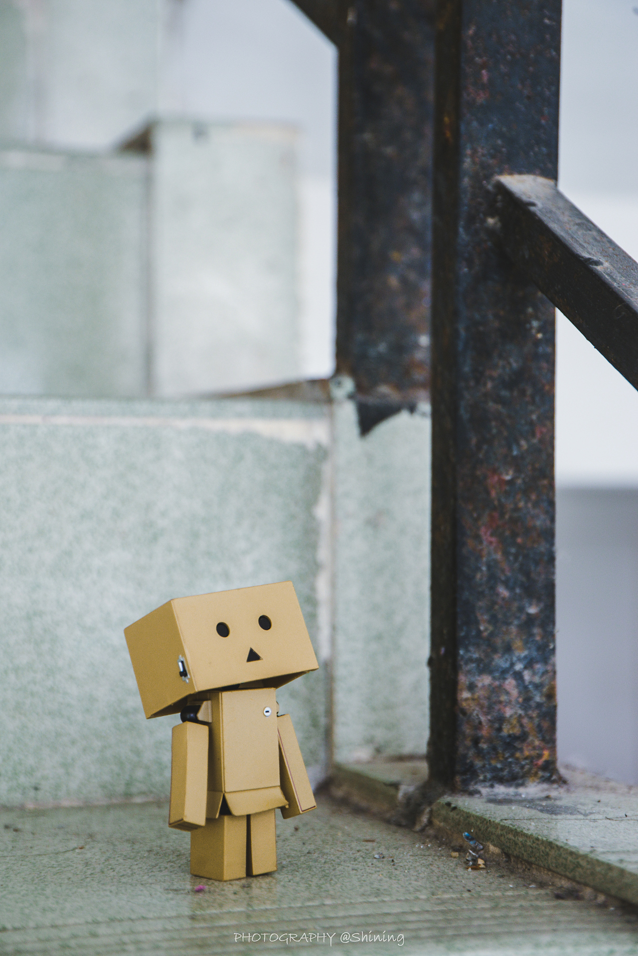 纸盒人阿楞的户外旅行